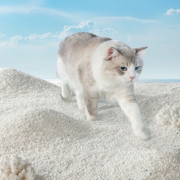 Quick Absorption Firm Clumping Fine Granules Natural Fiber Deodorizing Cassava Cat Litter Sand