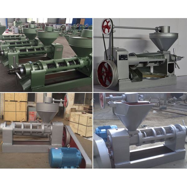 High Capacity Neem Oil Extraction Machine Perfect for Pressing 950KG of Oil Seeds in Pakistan