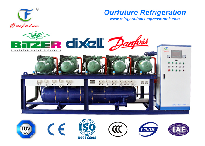 блок компрессора холодной комнаты 220V/1P/60Hz используемый в охлаженной воде замораживателя мяса