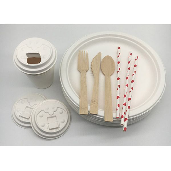 9 Inch Snack 100% Natural Sugarcane Compostable Plates