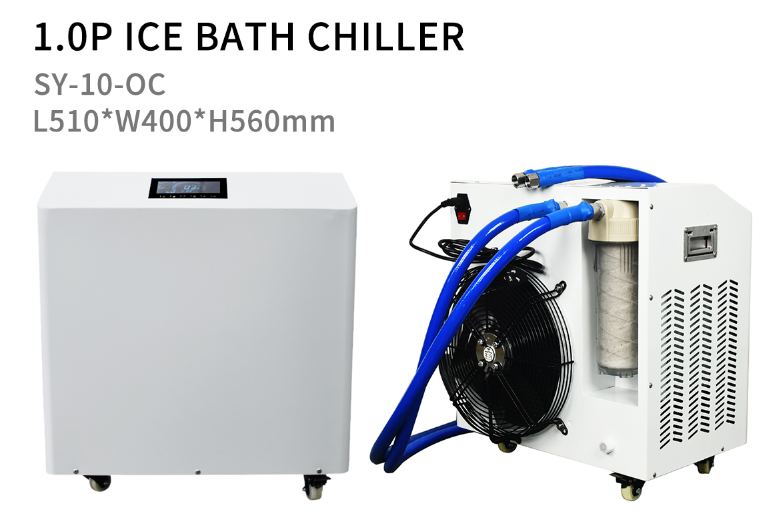 1P 2P XP Mini Portable CE Certification Rapid Cooling Hot Bath Ice Bath Chiller For Athlete