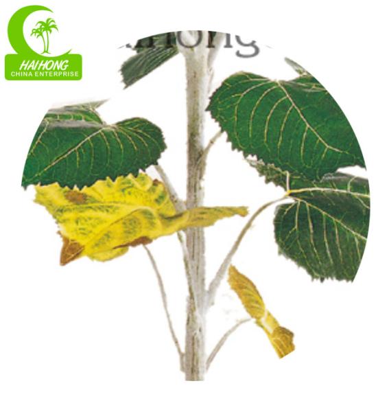 Fogo - flores artificiais do toque real da altura do retardador 170cm para a decoração do escritório