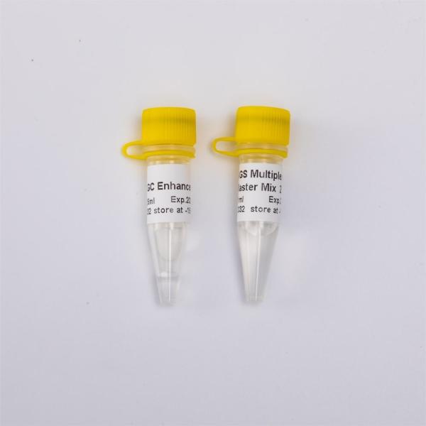 Molecular Biology Grade S1 Nuclease