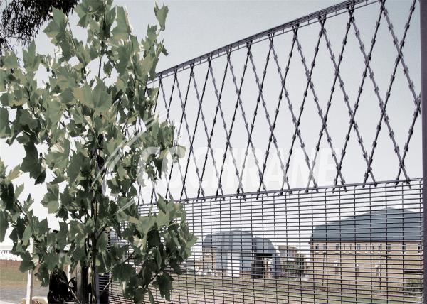 Welded Razor Mesh Ribbon Fencing 1.2m x 2.5m
