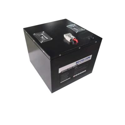 5000 bateria BMS Module Energy Storage dos ciclos 50Ah LFP 48V LiFePO4