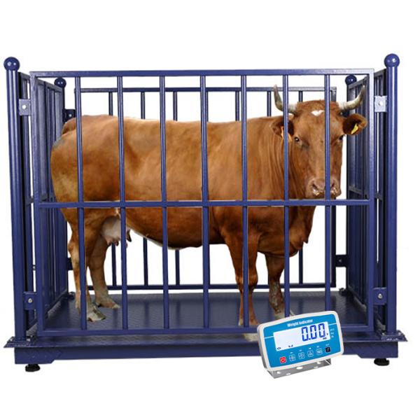 Balances de pesage de bétail couleur personnalisée pour balance électronique de ferme au sol, capacité de 300 kg