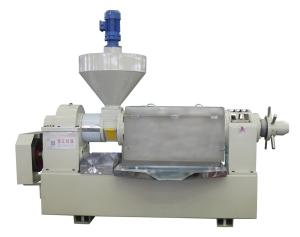 18-20TPD Screw Oil Press Machine Large Capacity Oil Extraction Machine Peanut