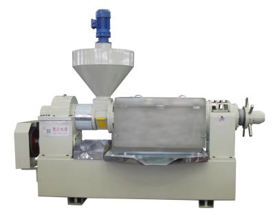 18-20TPD  Screw Oil Press Machine Large Capacity Oil Extraction Machine Peanut Oil Press Line