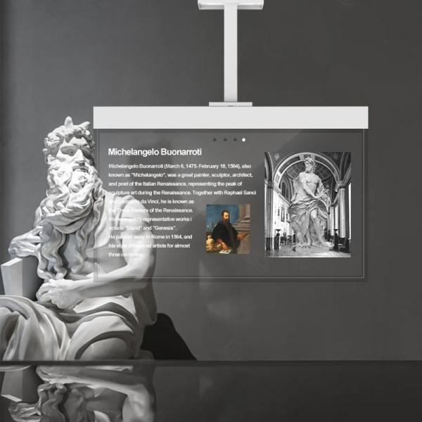 55-inch OLED Transparent Screen-hanging Model 1920*1080 Resolution 400 Nits   Oled Transparent Oled Panel