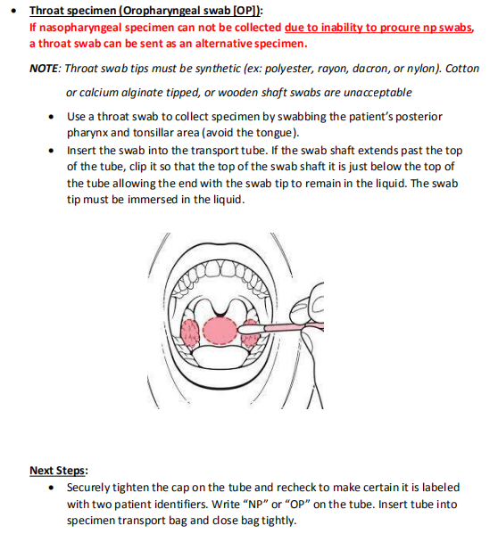 Flocked Throat Swab Stick , Disposable Oropharyngeal Throat Swab