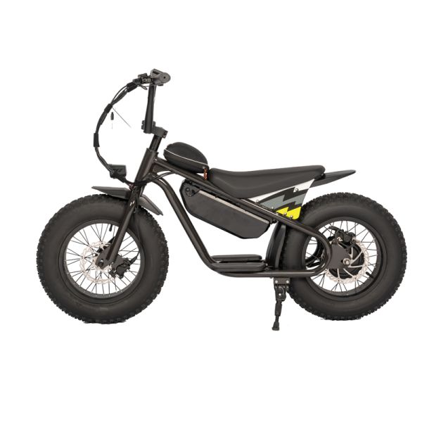16 Inch Aluminum Kids' Balance Bikes with Customized Color and Durable Body Material