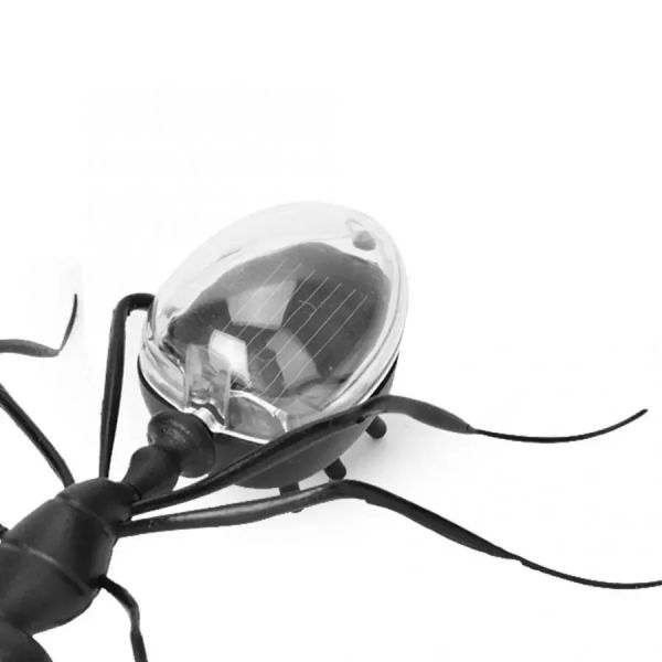 Big Ant Toys Black Science Novelty Gift Creative Toys Plastic Promotional Solar Toy Ant