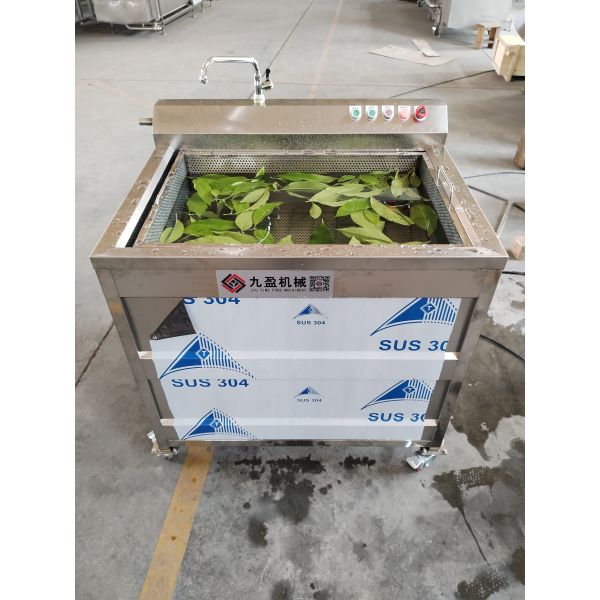60Hz Vegetable Fruit Washing Machine