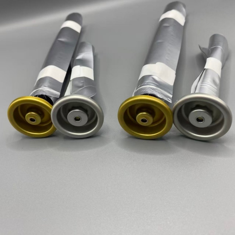 Eco-Friendly Female Bag on Valve Aerosol System for Sustainable Packaging
