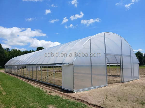 Powerful Auto Controlled Commercial Backyard Greenhouse Sheeting Polycarbonate