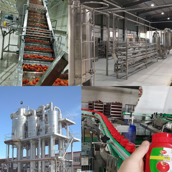 Customizable 1-1500T/D Turnkey Tomato Processing Line with SUS304 Stainless Steel for Tomato Paste and Ketchup Production