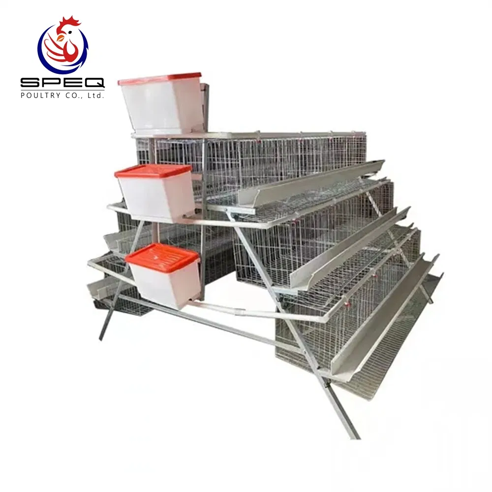 Poultry Farm Chicken Coop House A Type Hot Dipped Galvanized Layer Cage