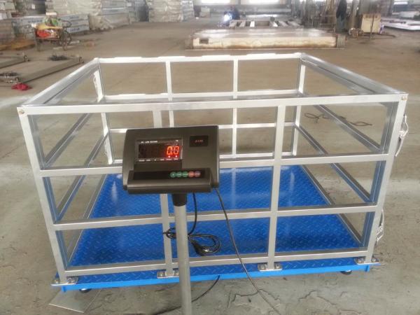 Pesée précise des animaux de 500 g sur les fermes Échelle de bétail avec clôture et support OEM personnalisé