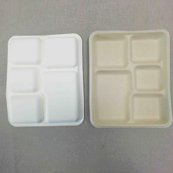 100% Biodegradable Sugarcane Pulp 5 Compartment Tray Natural Bagasse Eco-Friendly Compostable Melamine Dinner Plate