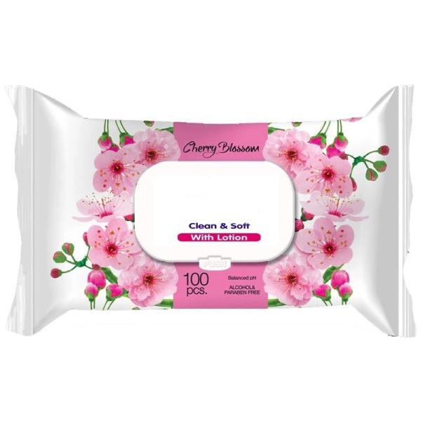 100 Pcs Disposable Wet Wipes , Biodegradable Baby Wipes CE / ISO Passed