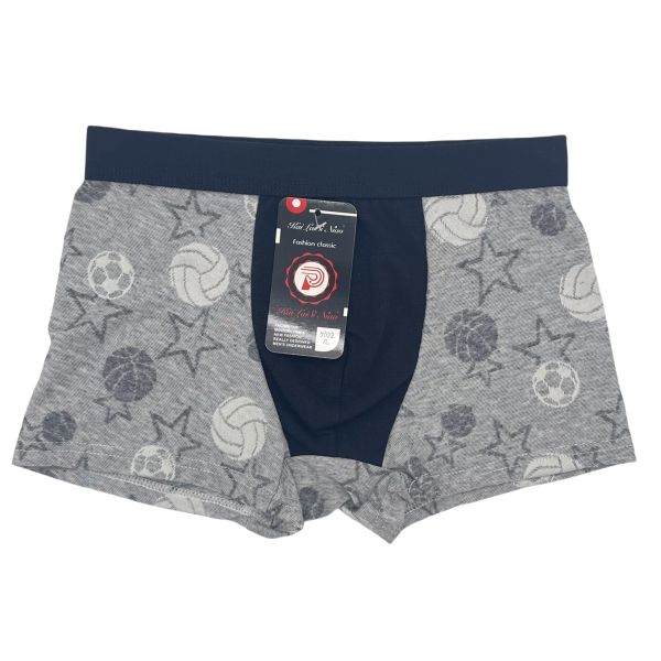 New Style Hot Selling High Quality Boys Boxer Underpants Comfortable Fashion Boxer Briefs at Wholesale Price