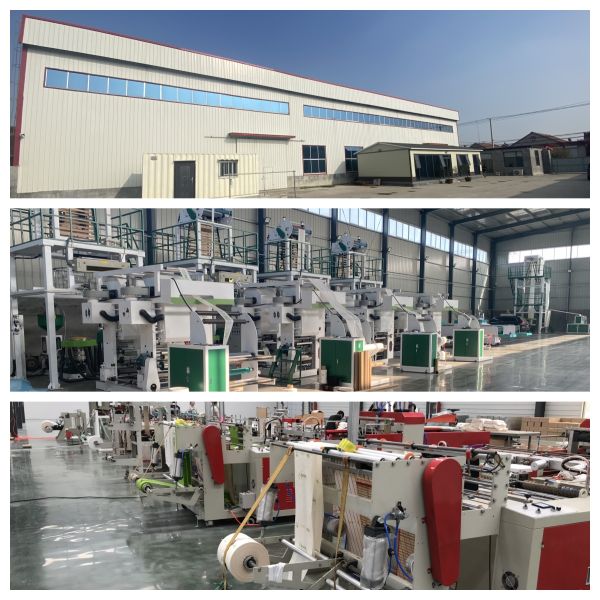 Вест 100% биоразлагаемые мешки для домашних животных для собачьего какашка персонализированные