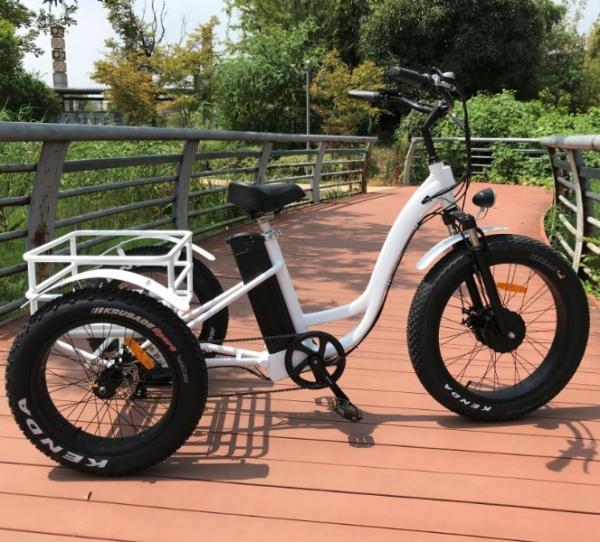 4.0 Inch Fat Tire Off Road Electric Bike For Adults 48V 10Ah Lithium Battery