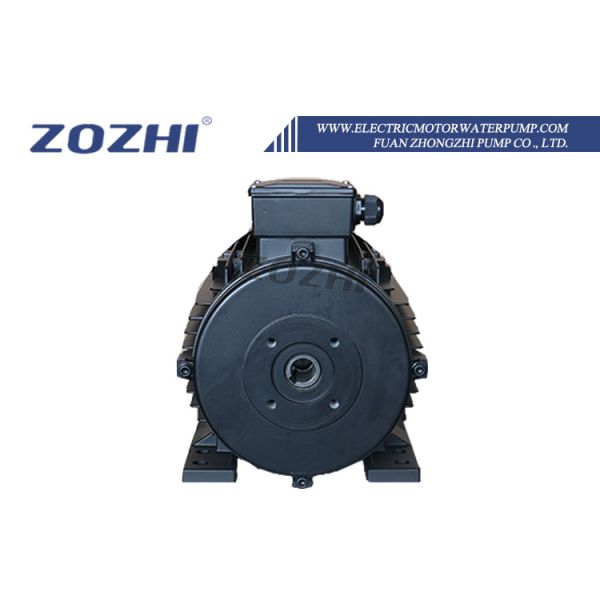 HS Series Hollow Shaft Motor for High Pressure Washer Systems with Aluminum Housing