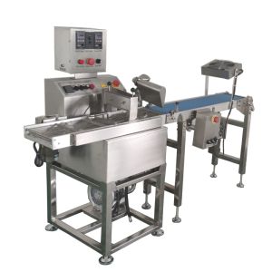 Dry Strawberry Chocolate Enrobing Machine Fruit Coating Production Equipment