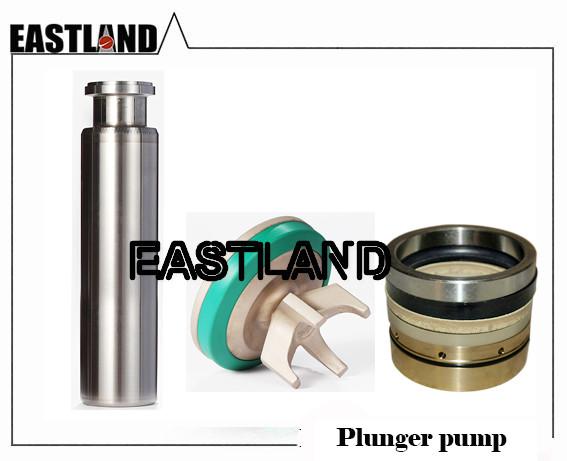 Gardner Denver TEE165 Triplex  Plunger Pump Plunger Valve and Seat and Packing