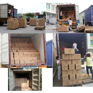 Taizhou Topway Commodity Co.,Ltd