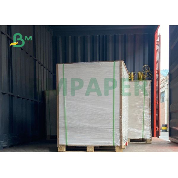 190gsm +15g PE Paper Cup Bottom Roll For Coffee Shop 2.95inches Waterproof