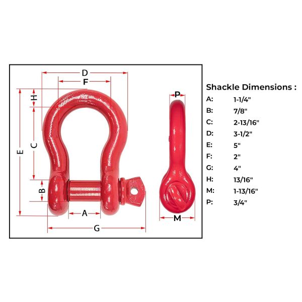 Anchor Shackle Forged Steel Galvanized Bow Shackle with Screw Pin