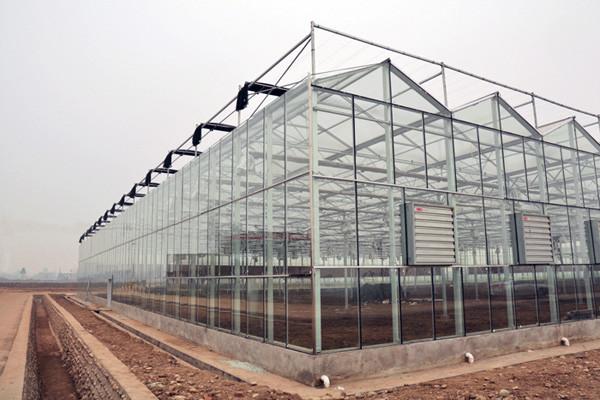 Section 4m Commercial Glass Greenhouse Exquisite Beautiful Galvanized Steel Frame