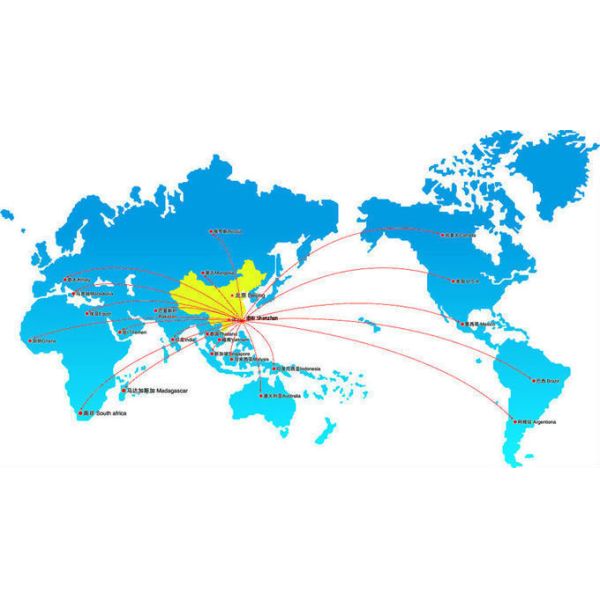 Manufacturer with Competitive Price  Foot Drop System for Drop Foot Treatment