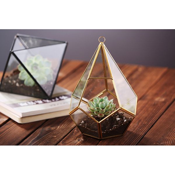 Do ouro suculento de vidro do preto da planta de Homeware da flor Terrarium de vidro geométrico de suspensão