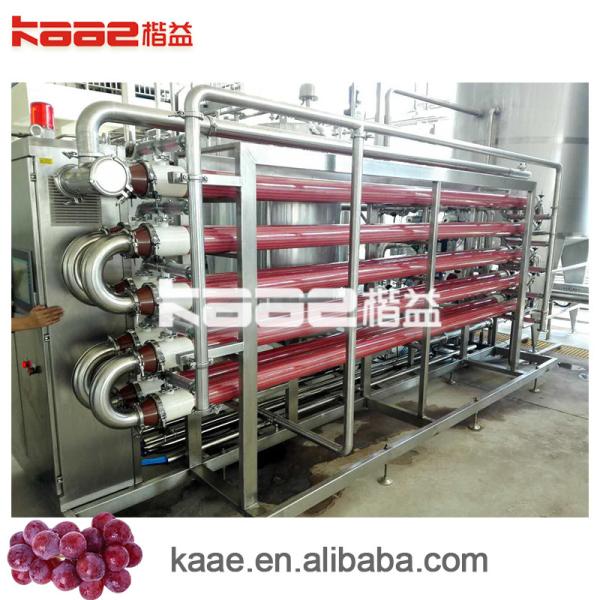 Turnkey SUS304 Pomegranate Juice Extraction Machine Concentrated Juice Processing Line