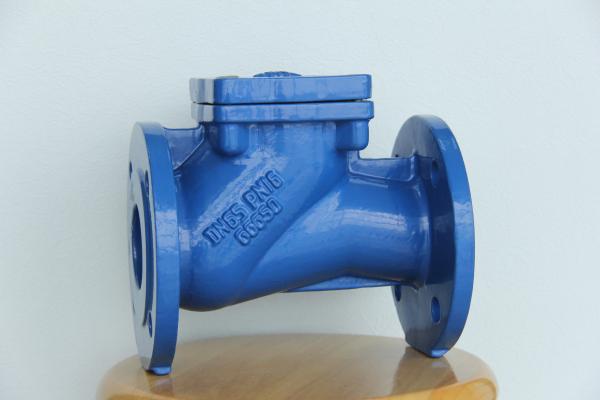Stainless Steel Bolt API594 TFL Industrial Check Valves PN10 PN16