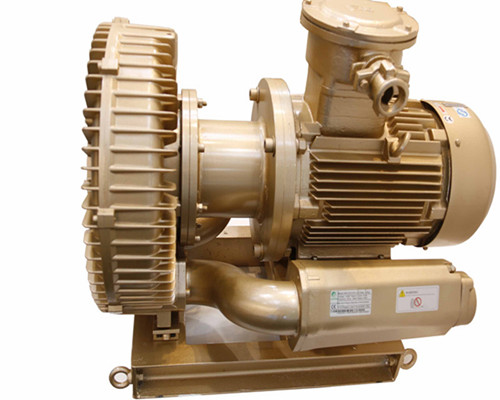 Anti Corrosinon Electric Goorui Side Channel Blower Pump Anti Explosion