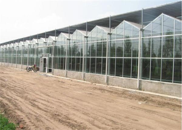 Eco Friendly Materials PC Sheet Greenhouse 50 Micron UV Thickness Design