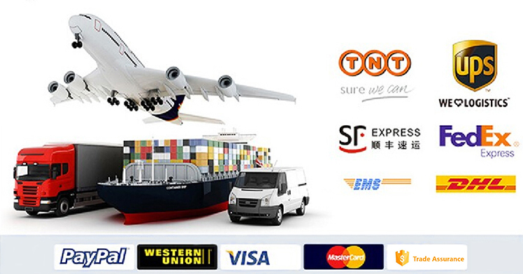 9A Long Curly Human Hair Lace Front Wigs Healthy Can Be Dyed Any Color And Ironed