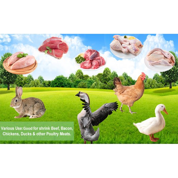 Printed Roasted Frozen Meat Turkey Bird Duck Goose Whole Chicken Shrink Plastic Packaging Bags Custom Poultry Chicken Bags Frozen Chicken Packaging Frozen PE Food Bag