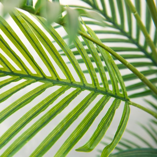 6ft Indoor Artificial Palm Trees thick foliage Tall Faux Silk Large Artificial Plant For  Decor