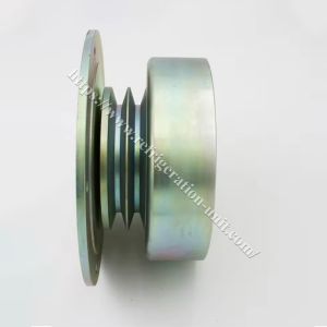 Carrier aftermarket spare parts 50-01171-21 available for the supra 550/ 850