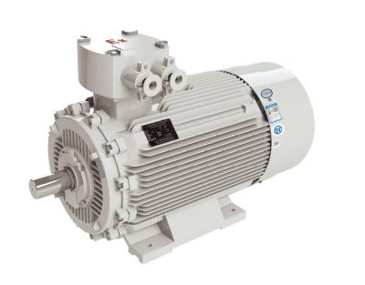 YBX3 series high efficiency flameproof 3- phase induction motors YBX3-450-14 YBX3-500-14 YBX3-400-16 YBX3-450-16 YBX3-500-16 YB2-400-2 YB2-450-2 YB2-400-4 YB2-450-4 YB2-400-6 YB2-450-6 YB2-400