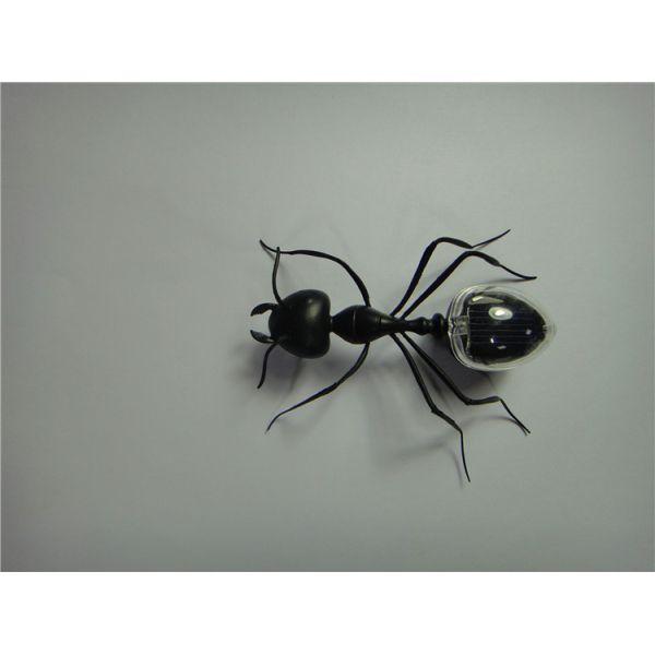 Jouet solaire promotionnel de mode breveté, fourmi solaire miniature, jouets solaires, insecte solaire pour enfants