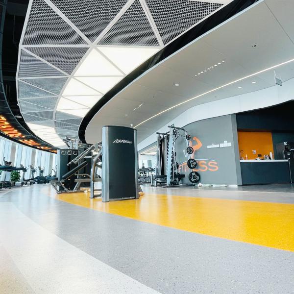 Relle Rubber Vinyl Flooring Roll 2mm-5mm Thickness Indoor Rubber Floor Tiles