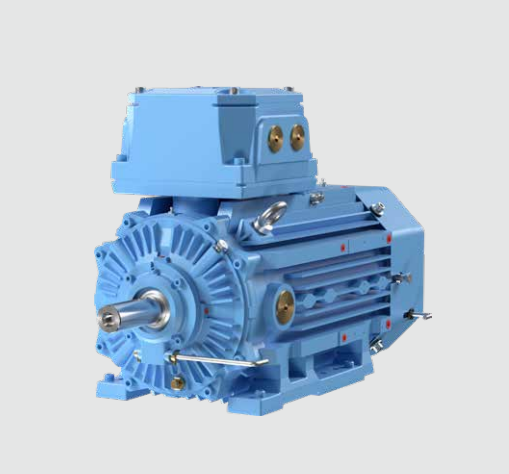 IECEx ATEX Asynchronous 3 Phase Motor 0.55kW To 710kW For Zone 1/2