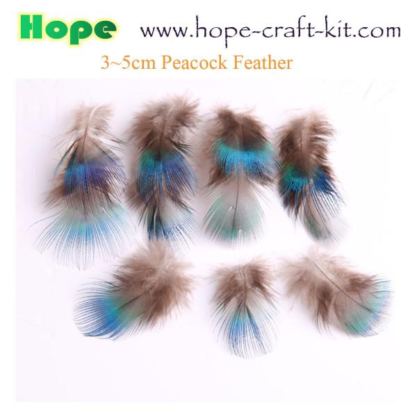 Peacock feathers, goose feathers, turkey chicken feathers for hobbies and children kids STEM hand-crafted DIY material