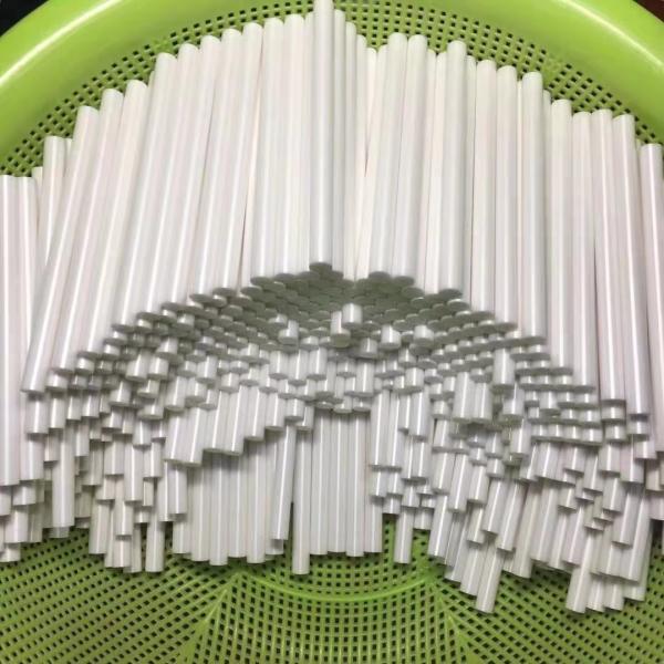 CNC Machine Fine Processing 400C Zirconia Ceramic Shaft White Zirconia Ceramic Pin